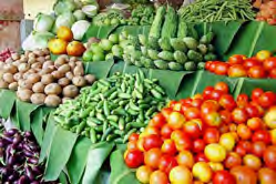 food004